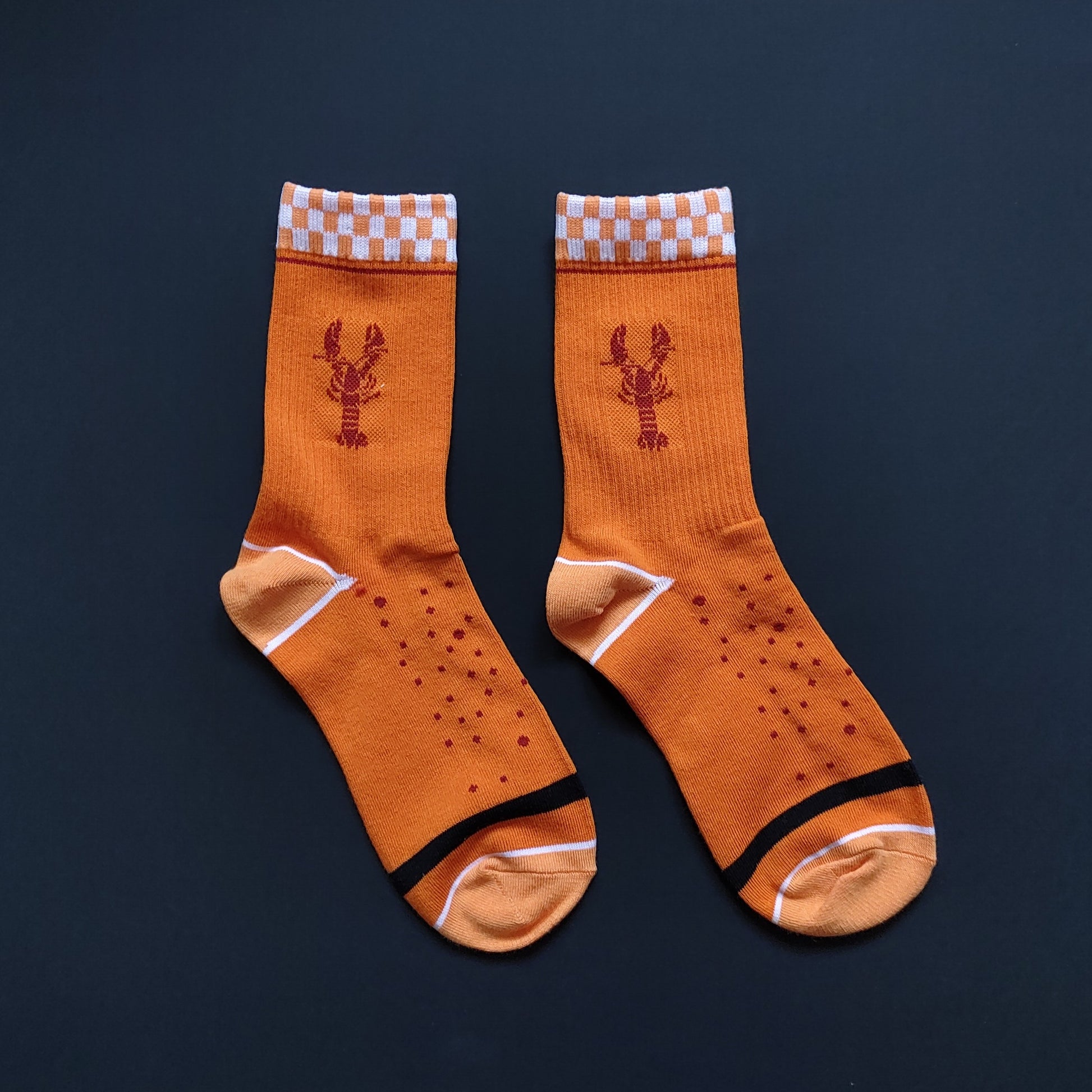 Lobster Socks – cactus socks